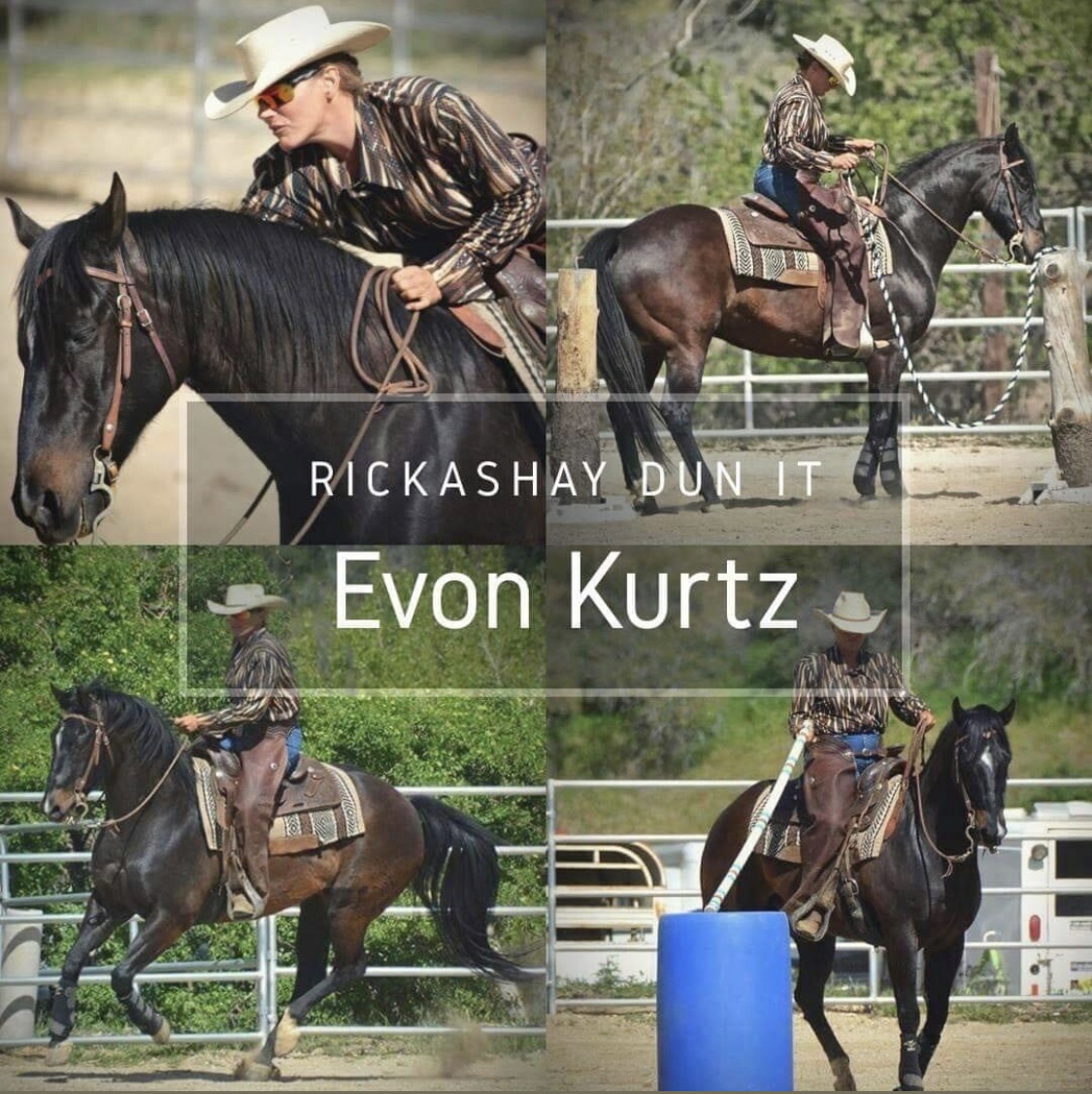 Evon Kurtz Horsemanship